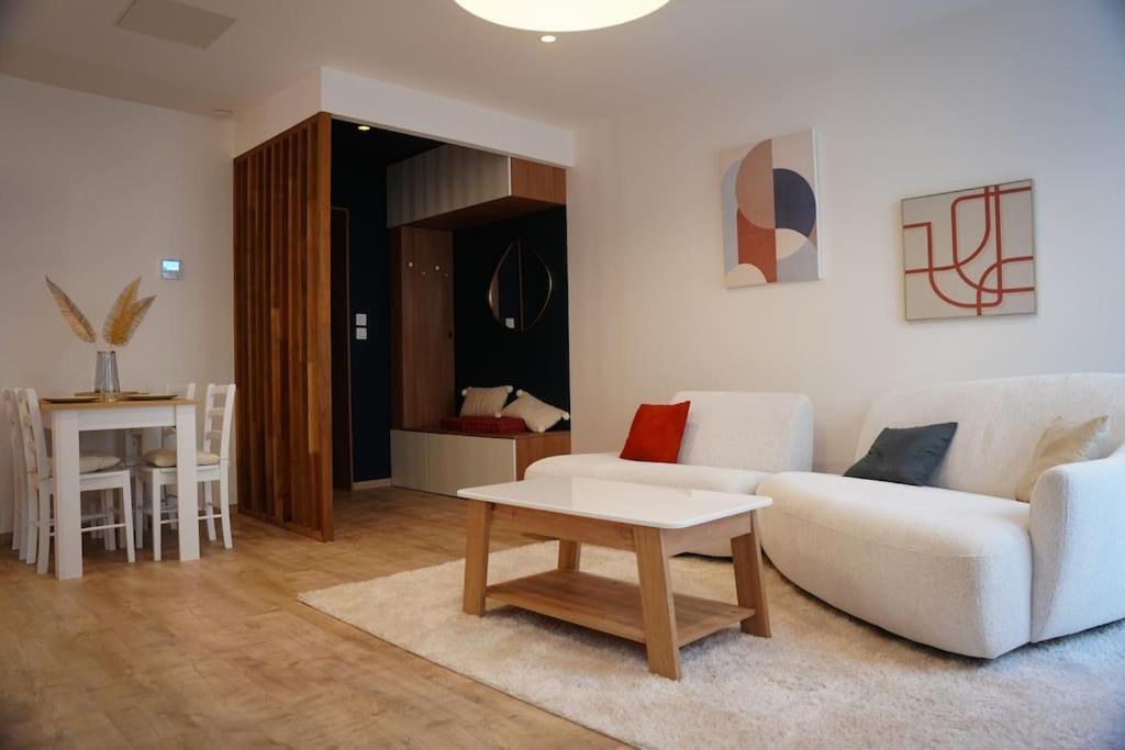 Bel Appartement Centre-Ville Saint-Etienne  Luaran gambar